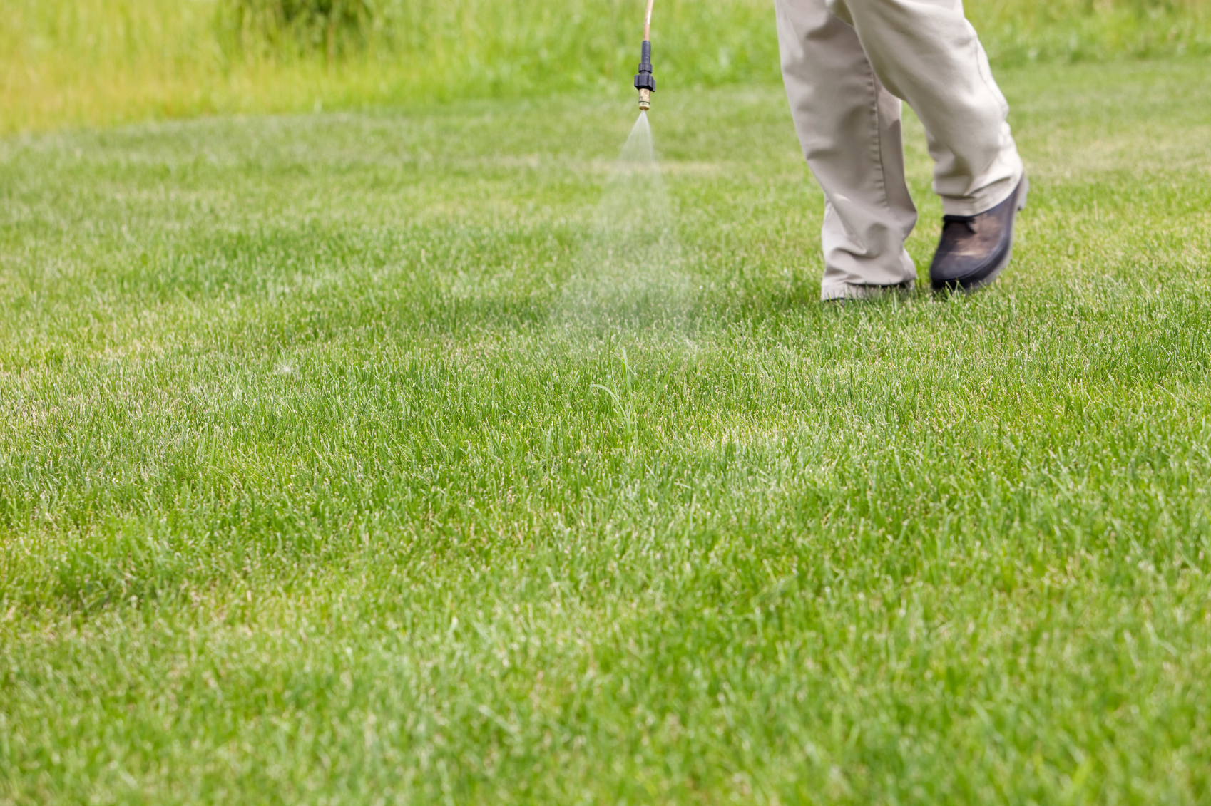 So, you want your lawn sprayed, to get rid of all those dandelions…