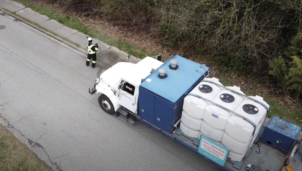 Weed Clean Up Near Me 62232 Zip Code Removal Services