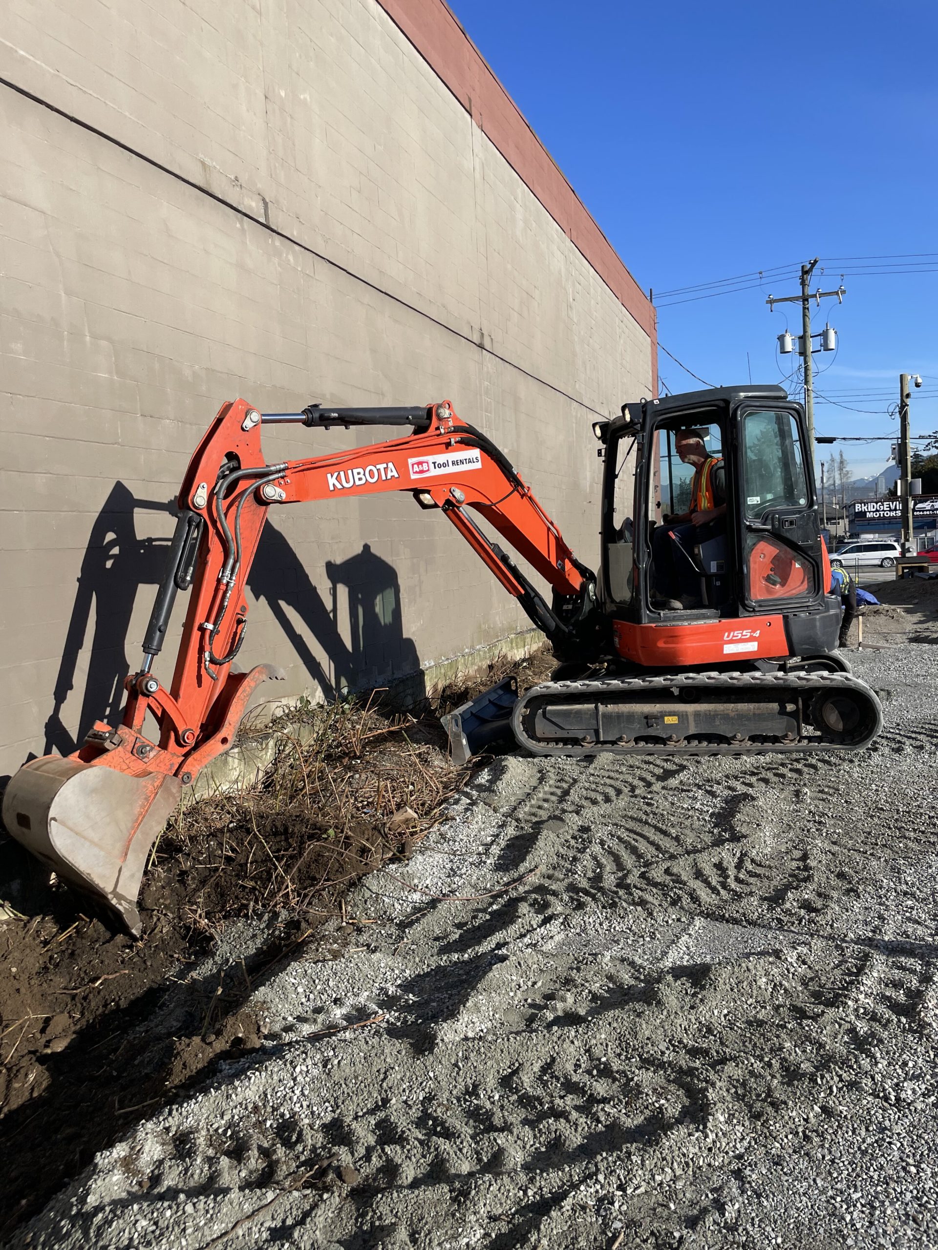 The Importance of Removing Knotweed Before Construction: A Developer’s Guide
