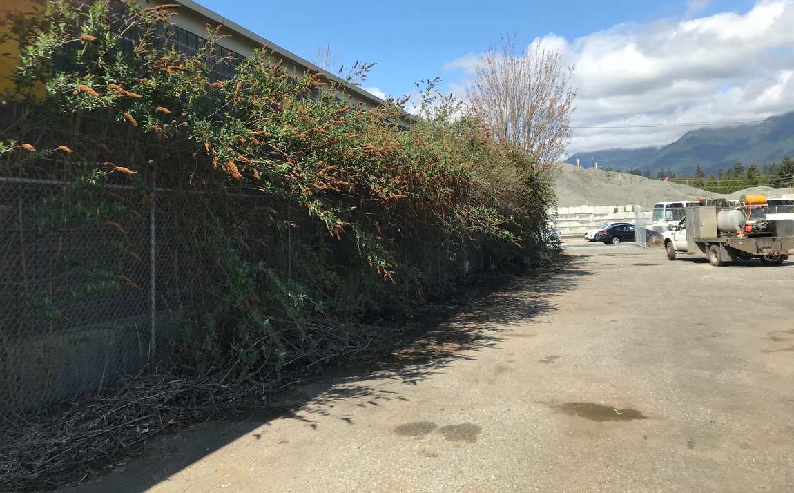 Season Long Vegetation Control for Industrial Properties